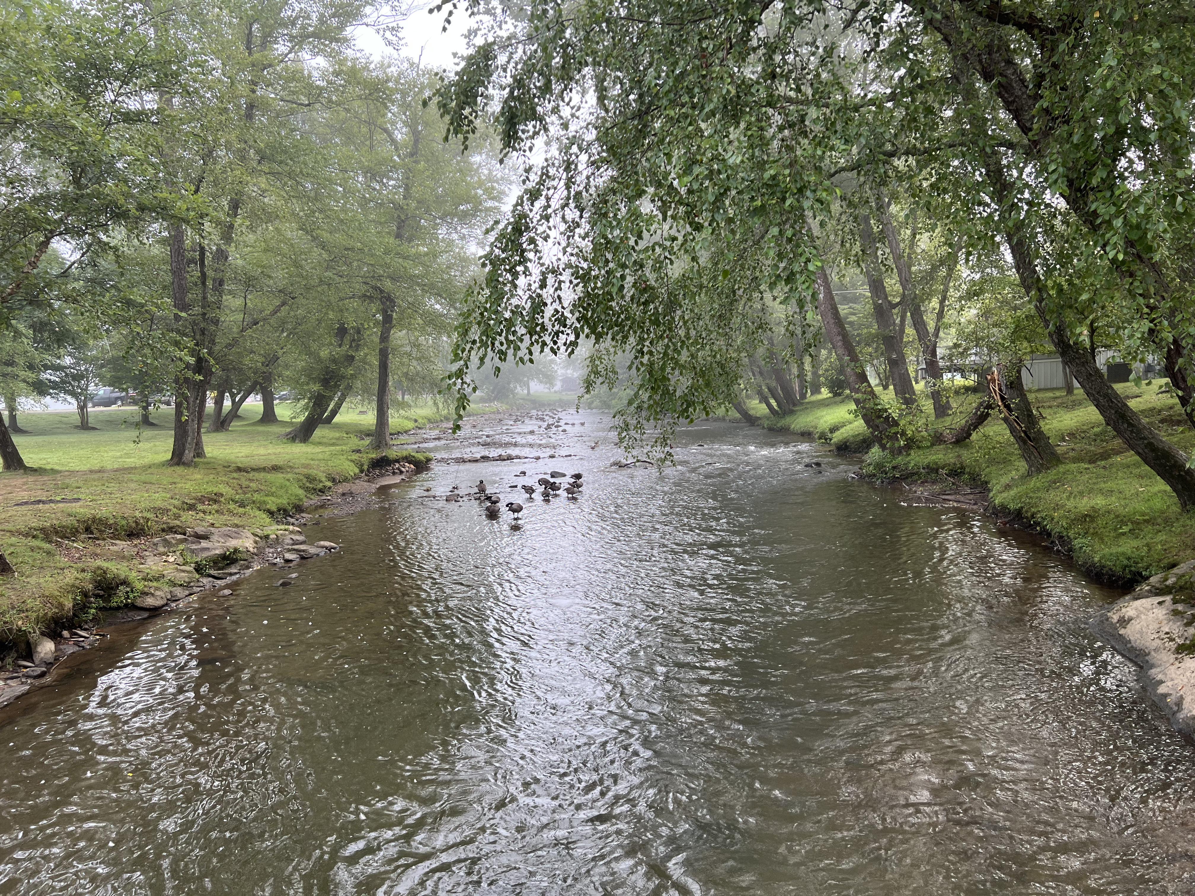 ./2023/11 - Asheville/IMG_9826.jpg